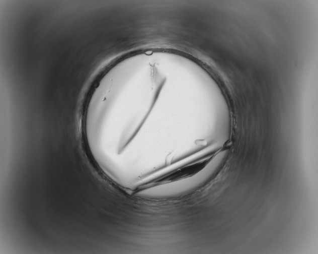 X0000096171416200802151425