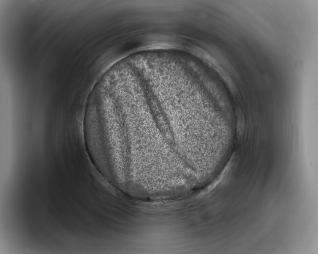 X0000096171417200802151426