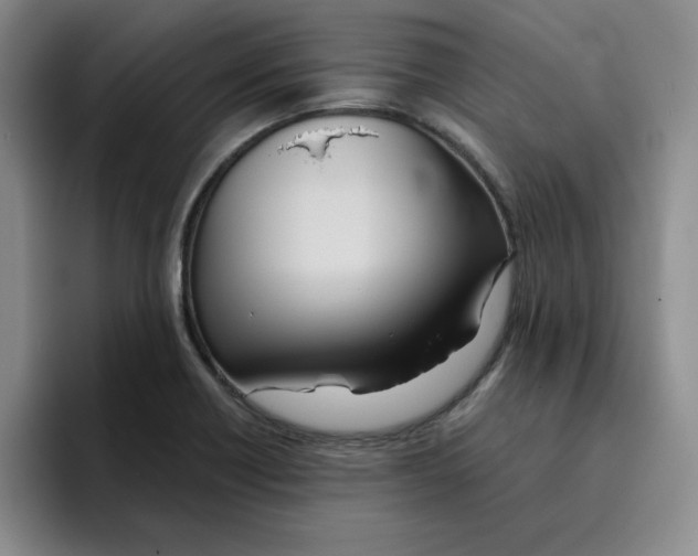 X0000096171418200802151426