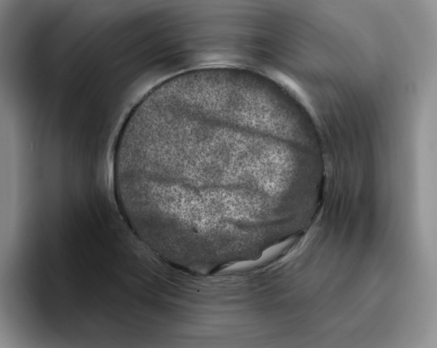 X0000096171419200802151426