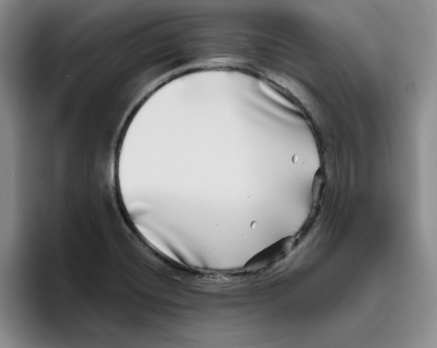 X0000096171420200802151426