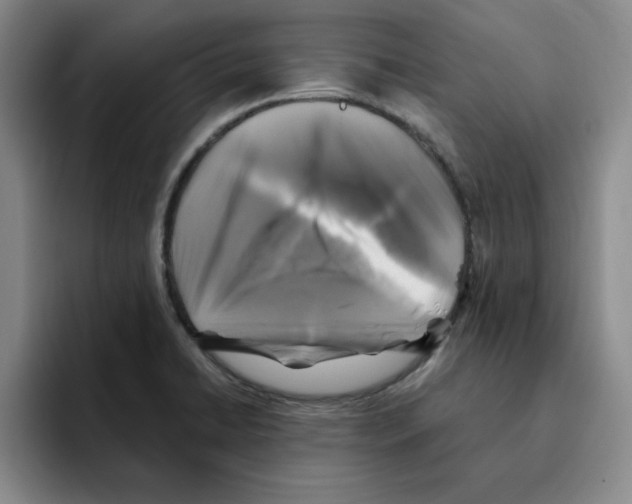 X0000096171422200802151426