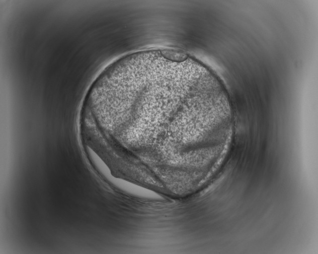 X0000096171423200802151426