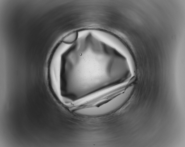 X0000096171424200802151426