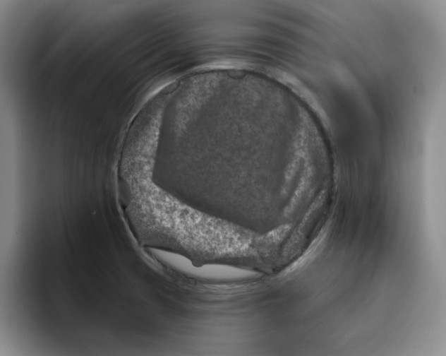 X0000096171425200802151426