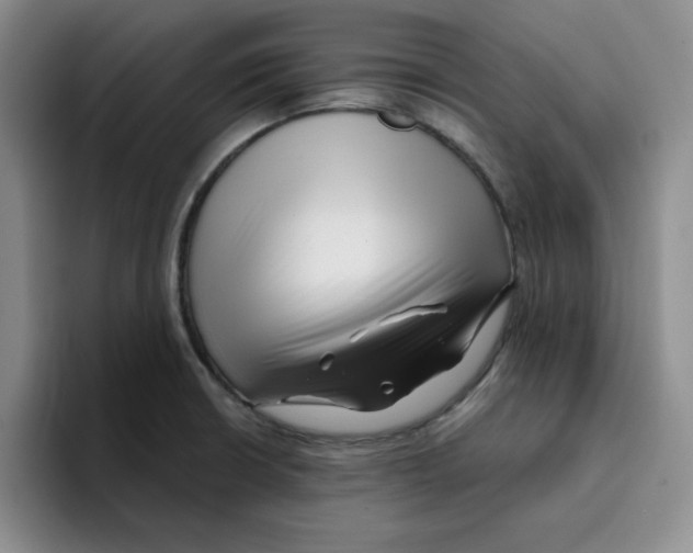 X0000096171426200802151426