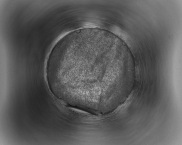 X0000096171427200802151426