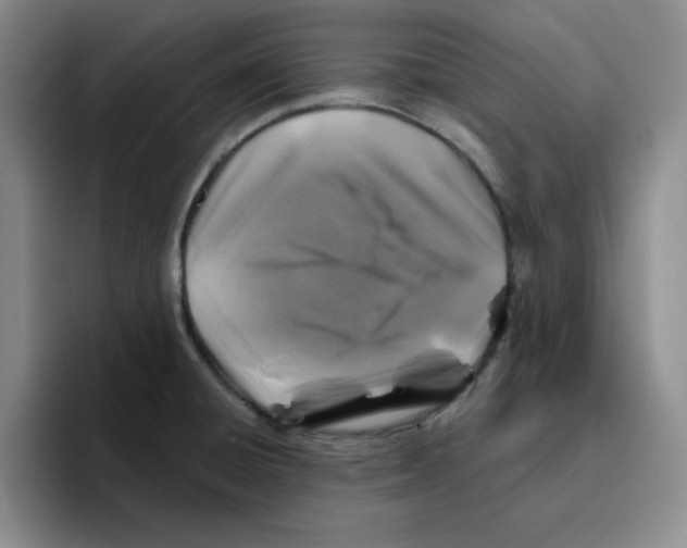 X0000096171428200802151426