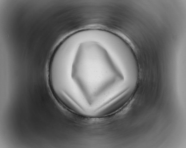 X0000096171430200802151426