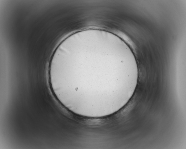 X0000096171431200802151426