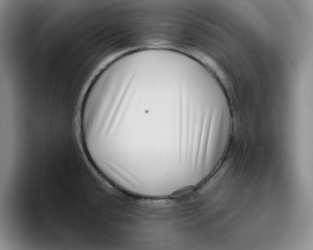 X0000096171432200802151426