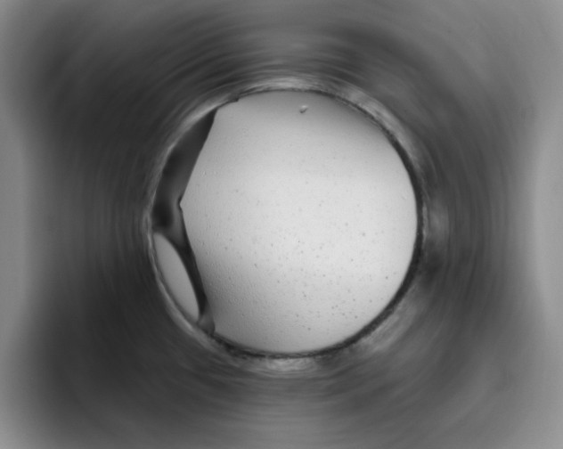 X0000096171433200802151426