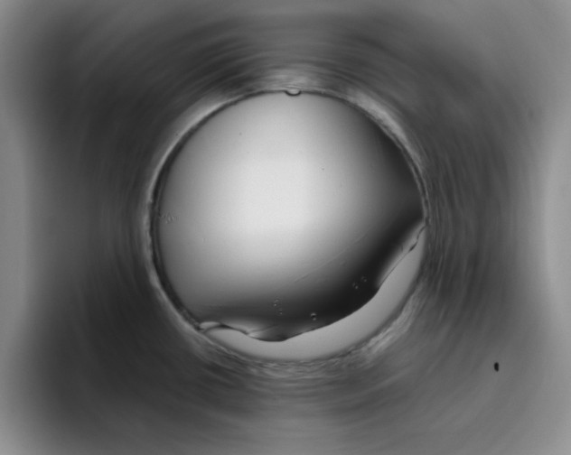 X0000096171434200802151426