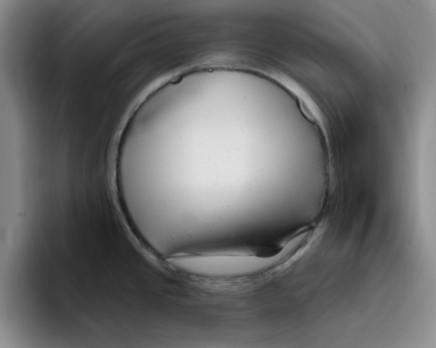 X0000096171437200802151426