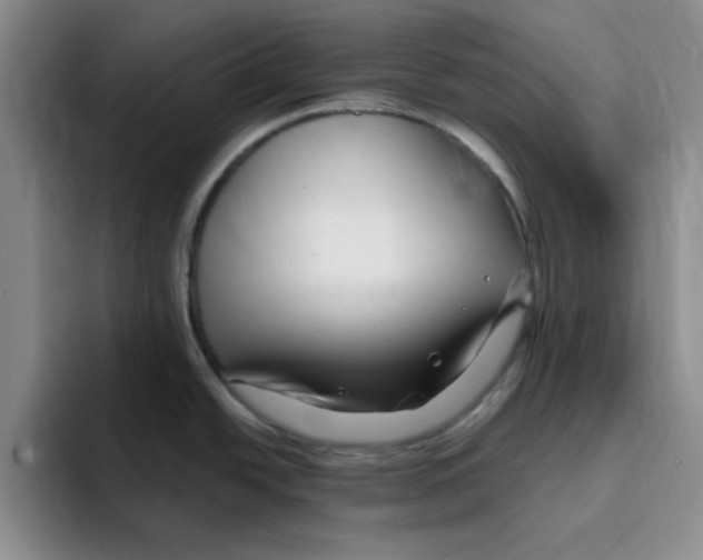 X0000096171438200802151426