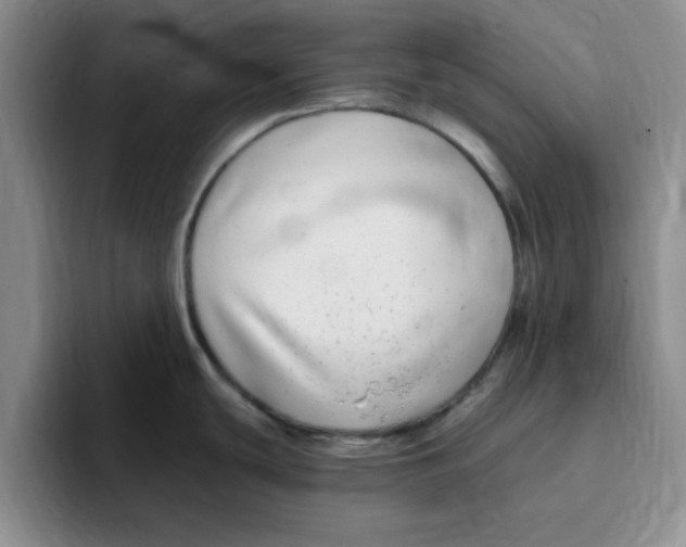 X0000096171439200802151426