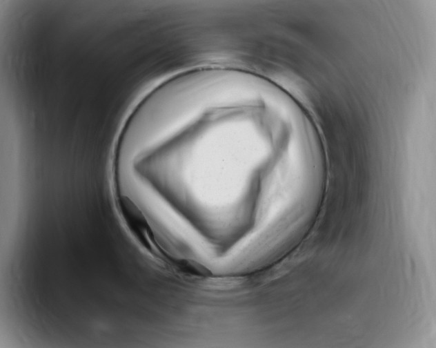 X0000096171440200802151426