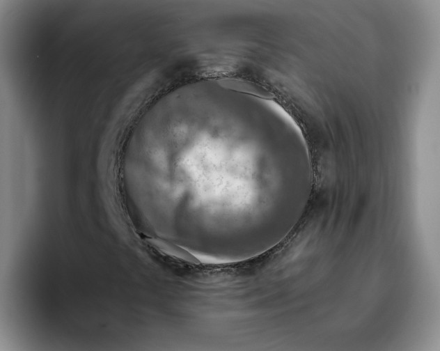 X0000096171441200802151425