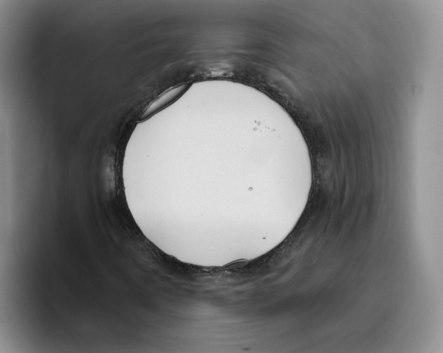 X0000096171442200802151425