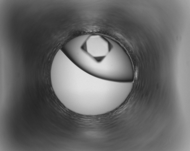 X0000096171444200802151425