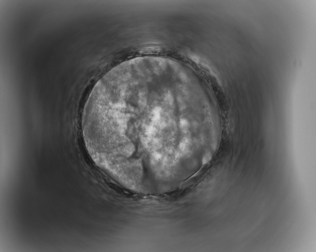 X0000096171445200802151425