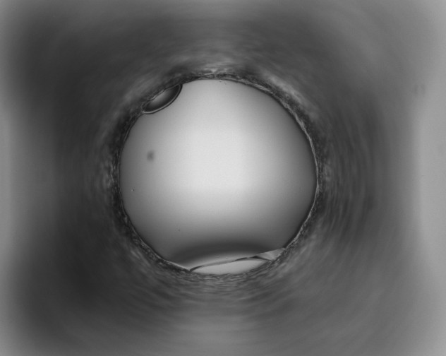 X0000096171447200802151425