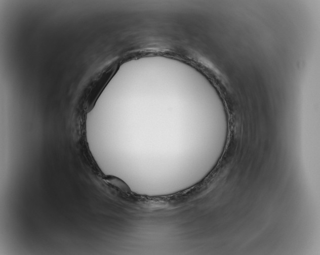 X0000096171448200802151425