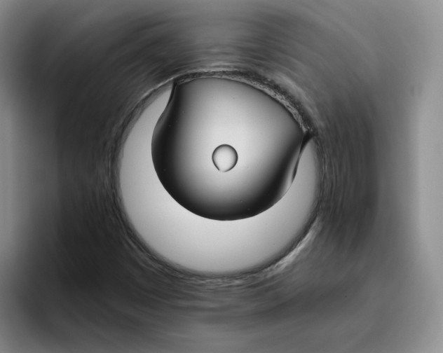 X0000096171449200802151425