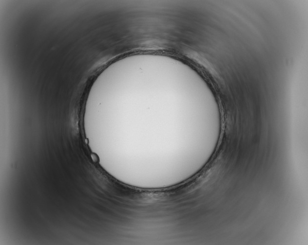 X0000096171451200802151425