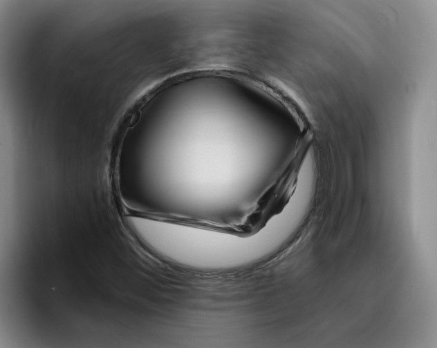 X0000096171452200802151425