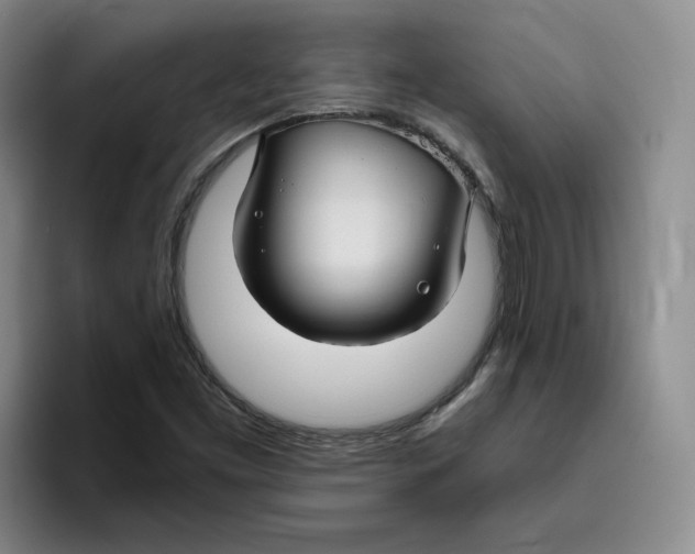 X0000096171453200802151425