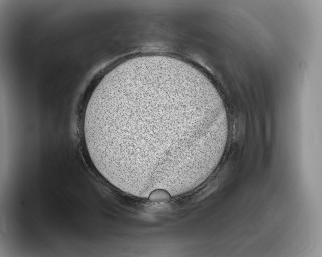 X0000096171454200802151425