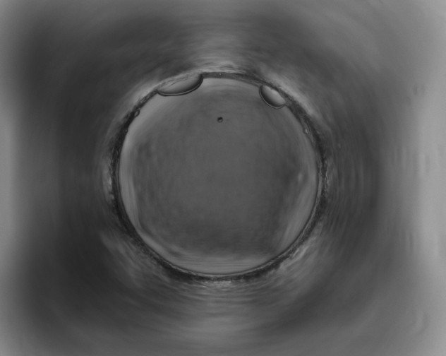 X0000096171455200802151425