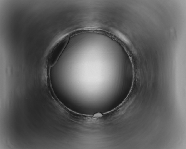 X0000096171456200802151425