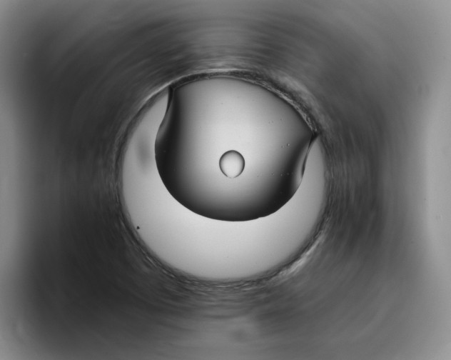 X0000096171457200802151425