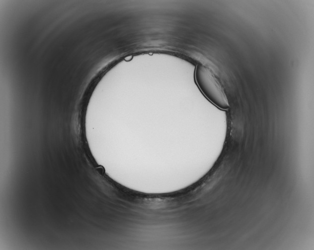 X0000096171458200802151425