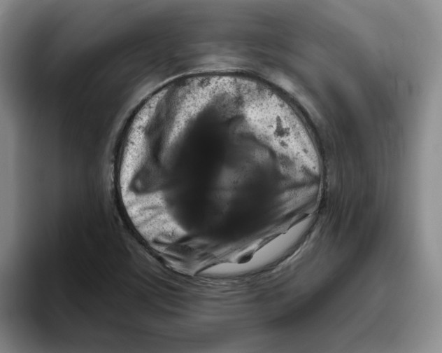 X0000096171459200802151425