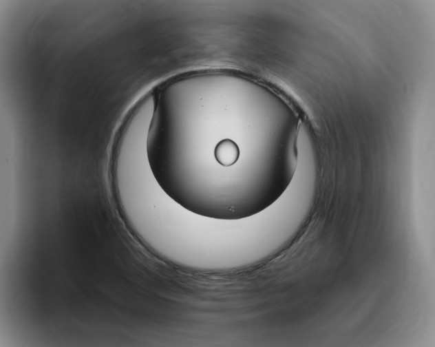 X0000096171460200802151425