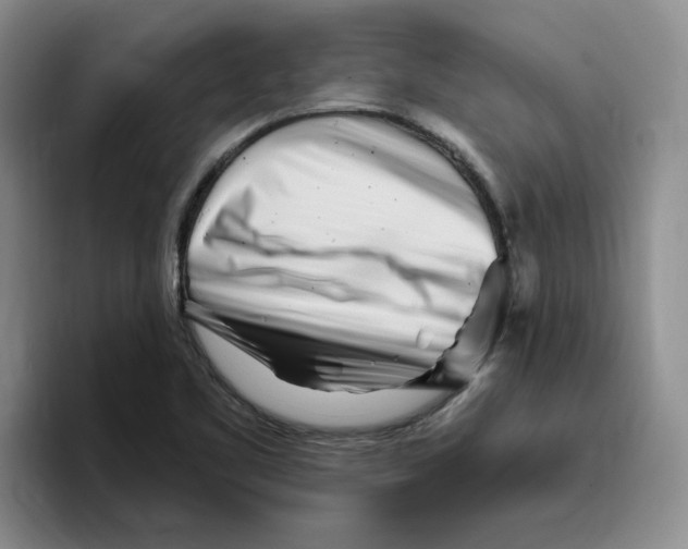 X0000096171461200802151425