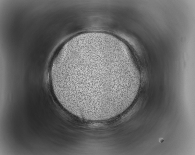 X0000096171462200802151425