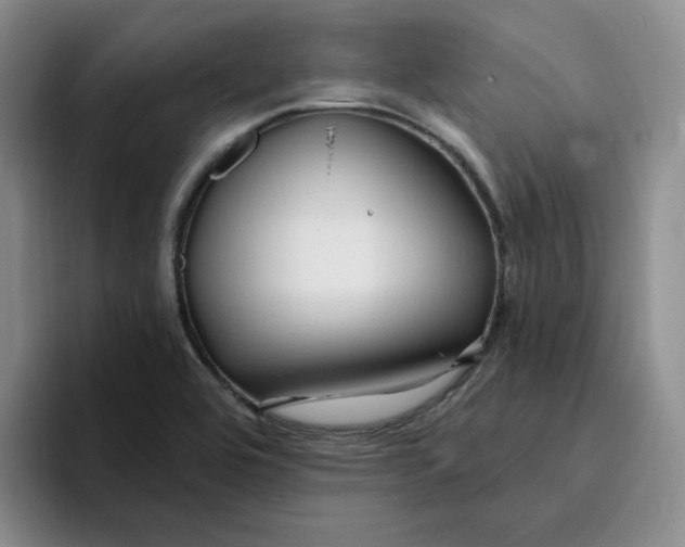 X0000096171464200802151425