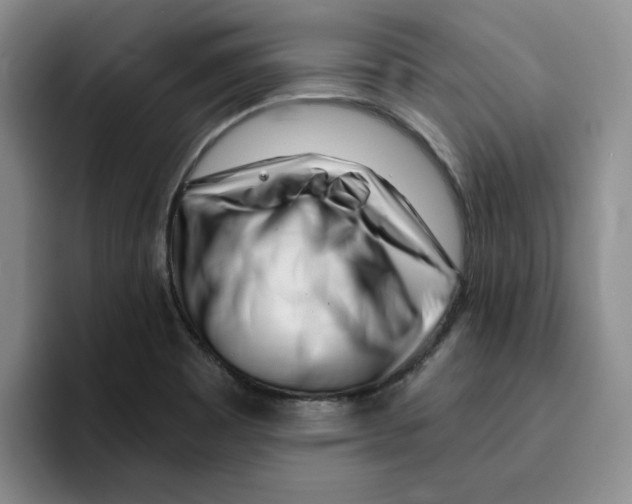 X0000096171465200802151425