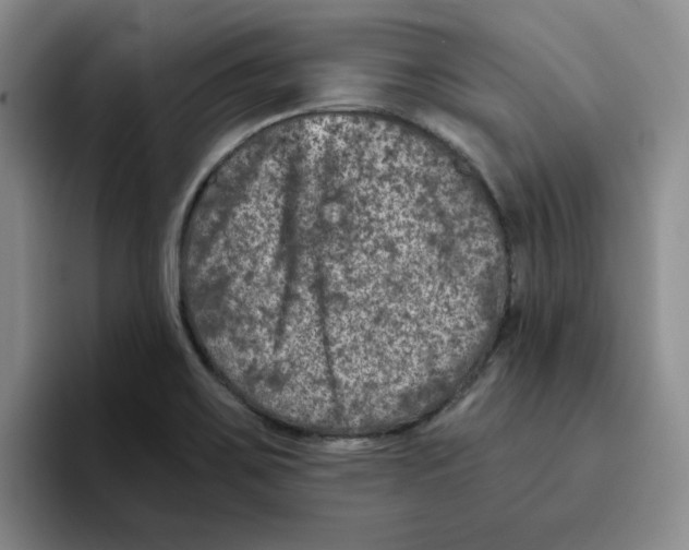 X0000096171467200802151425