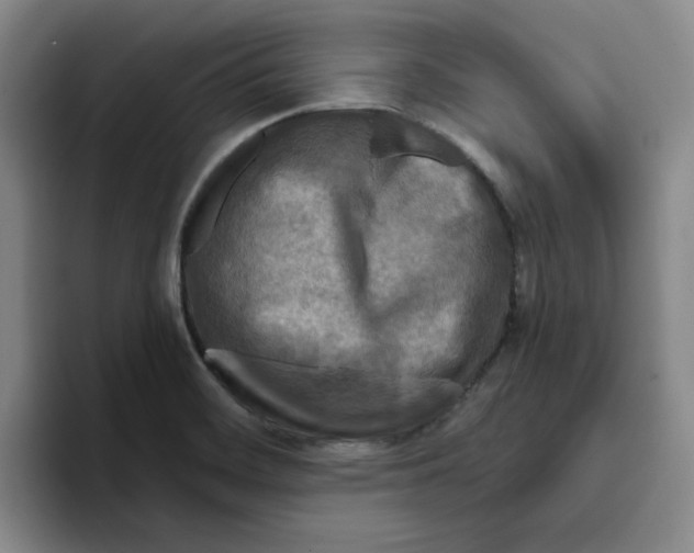 X0000096171468200802151425