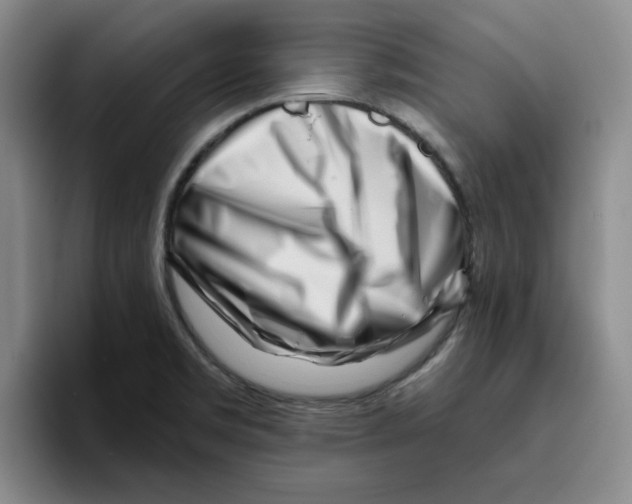 X0000096171469200802151425