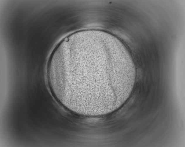 X0000096171470200802151425