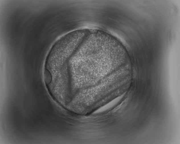 X0000096171471200802151425