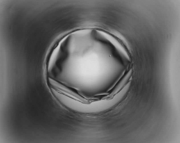 X0000096171472200802151425