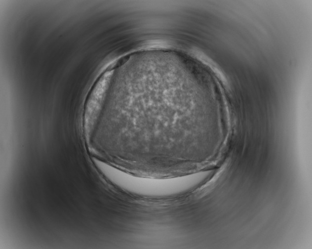 X0000096171473200802151425