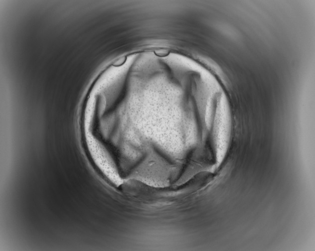 X0000096171475200802151425